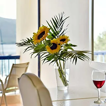 Hotel Ionion Star 4*
